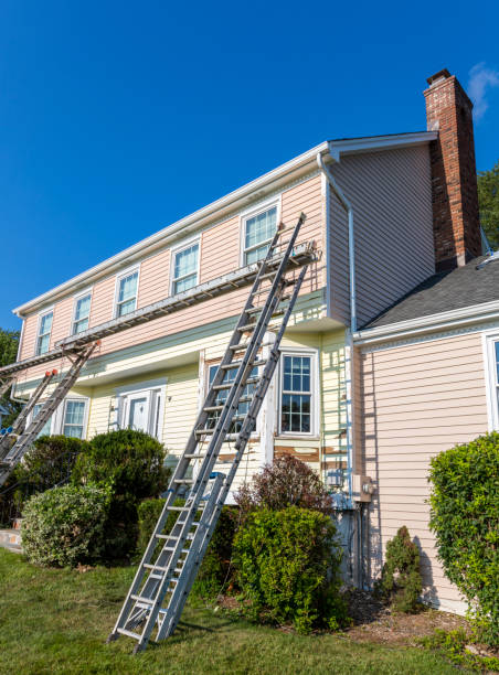 Best Hoarding Cleanup  in Delshire, OH